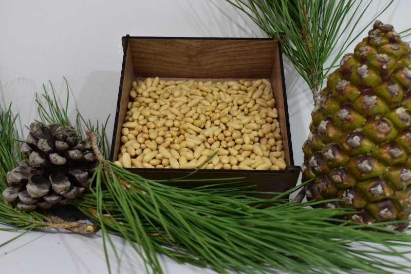 Aydin Pine Nuts