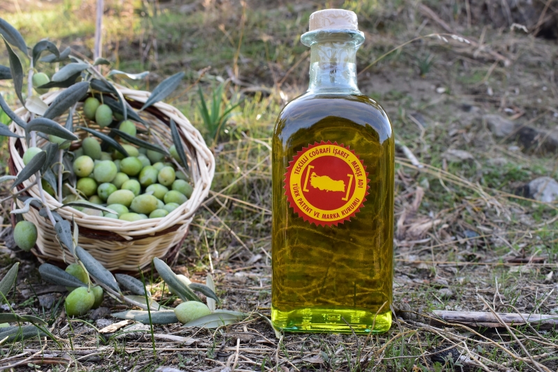 Aydin Olive Oil