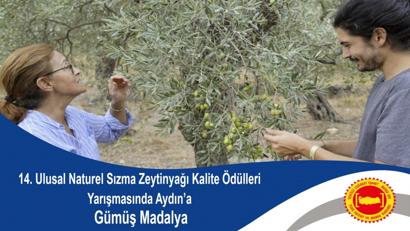 14. Ulusal Naturel Sızma Zeytinyağı Kalite Ödülleri Yarışmasında Aydın’a Gümüş Madalya