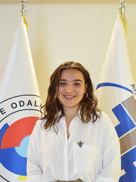 Emine CEYLAN ÖZDEMİR
