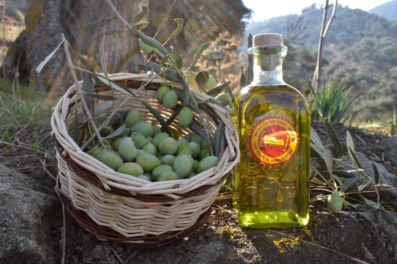 17.02.2022 Aydın Commodity Exchange Is Going To Present Aydın Memecik Olive Oil in Hatay              