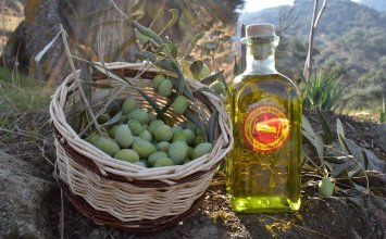 17.02.2022 Aydın Commodity Exchange Is Going To Present Aydın Memecik Olive Oil in Hatay              