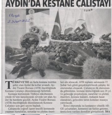 Yazılı Medya