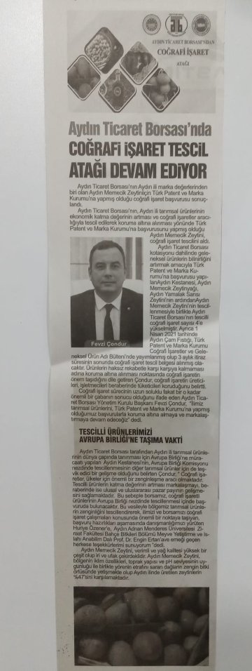 Yazılı Medya