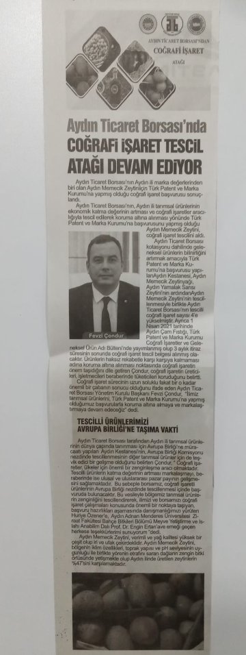 Yazılı Medya