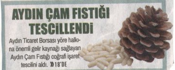 Yazılı Medya