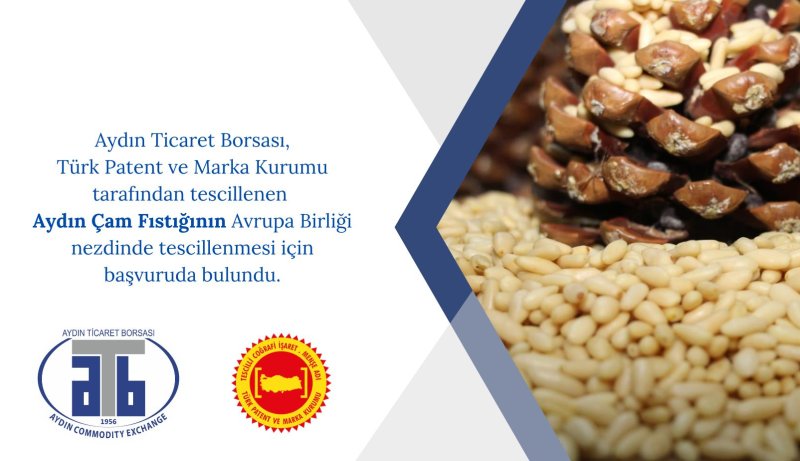 28.08.2023 Aydın Ticaret Borsası Tarafından Tescillenen Aydın Çam Fıstığı, AB Yolunda