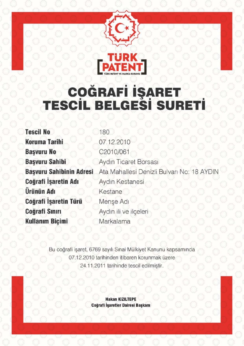 Aydın Kestanesi 
