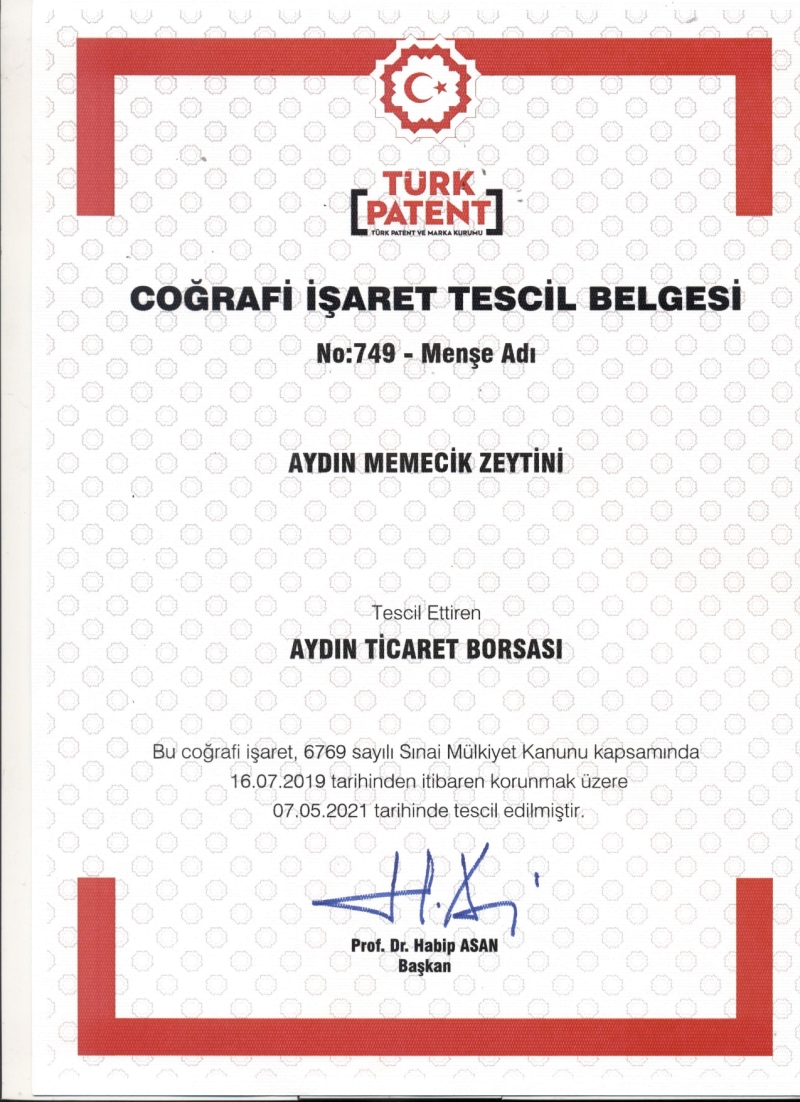 Aydın Memecik Zeytini