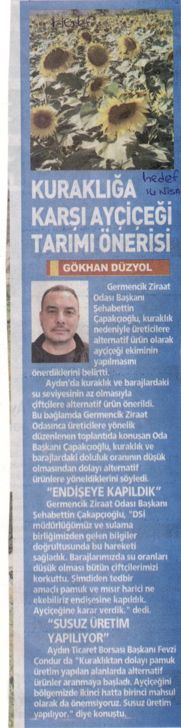 Yazılı Medya