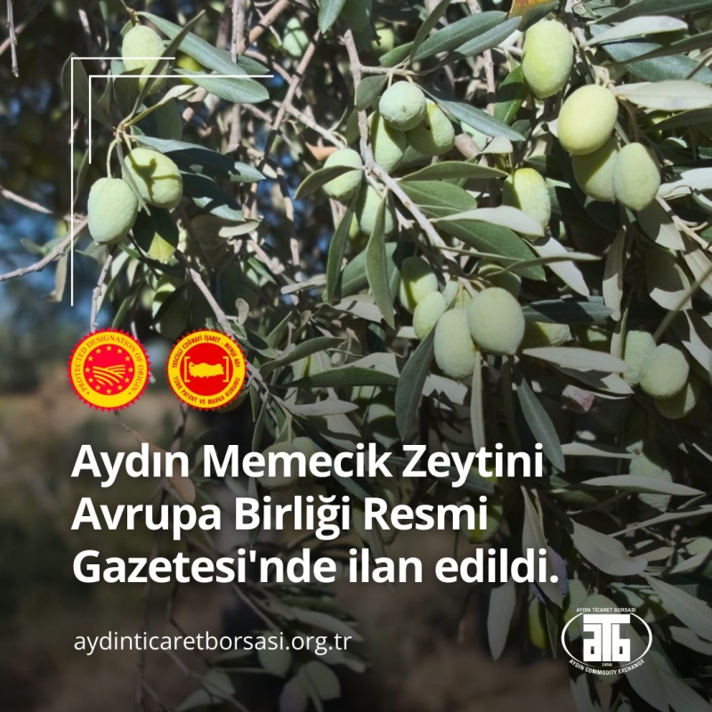 15.11.2024 Aydın Memecik Zeytini, which was applied for by the Aydın Commodity Exchange, has been announced in the Official Journal of the European Union.