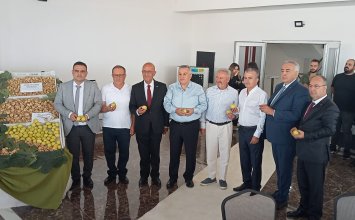 19.08.2025 Aydın Ticaret Borsası Başkan Yardımcısı Cengiz Ülgen, Nazilli’de İlk İncir Alım Törenine Katıldı