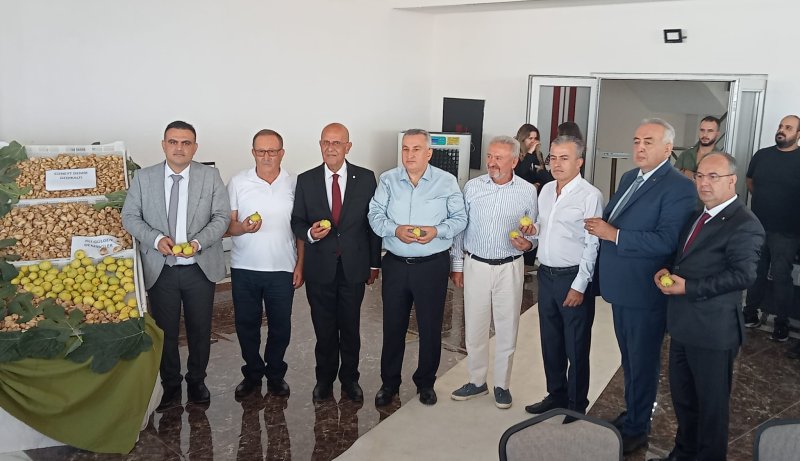 19.08.2025 Aydın Ticaret Borsası Başkan Yardımcısı Cengiz Ülgen, Nazilli’de İlk İncir Alım Törenine Katıldı