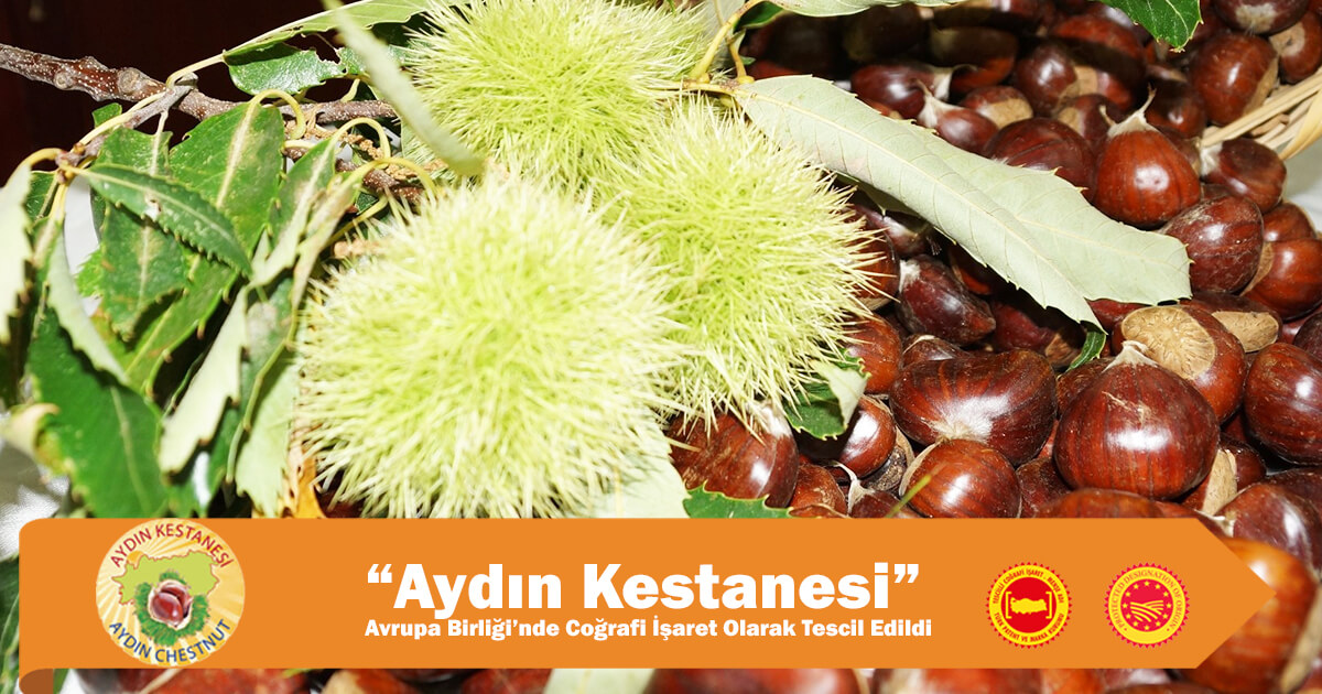 25.09.2020 “Aydın Kestanesi” Avrupa Birliği’nde Coğrafi İşaret OlarakTescil Edildi