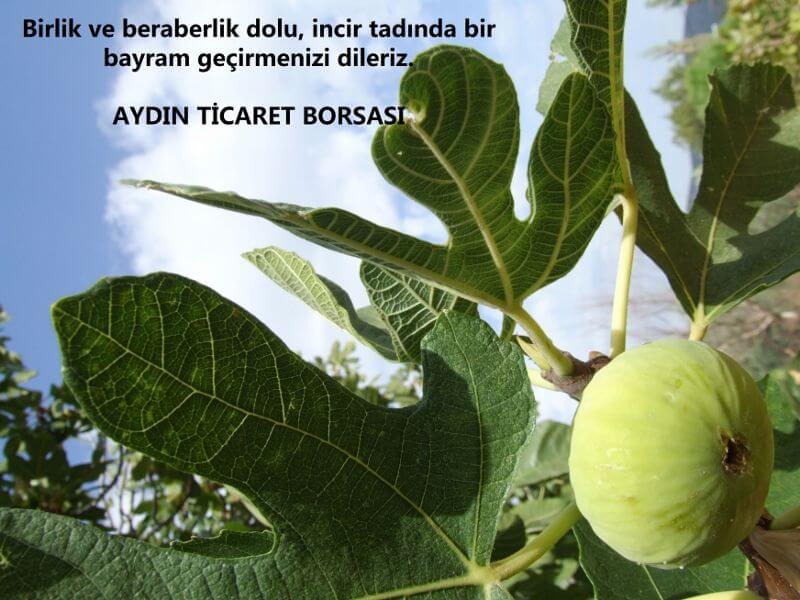 24.05.2020 BİRLİK VE BERABERLİK DOLU, İNCİR TADINDA NİCE BAYRAMLAR GEÇİRMEK DİLEĞİYLE İYİ BAYRAMLAR DİLERİZ.
